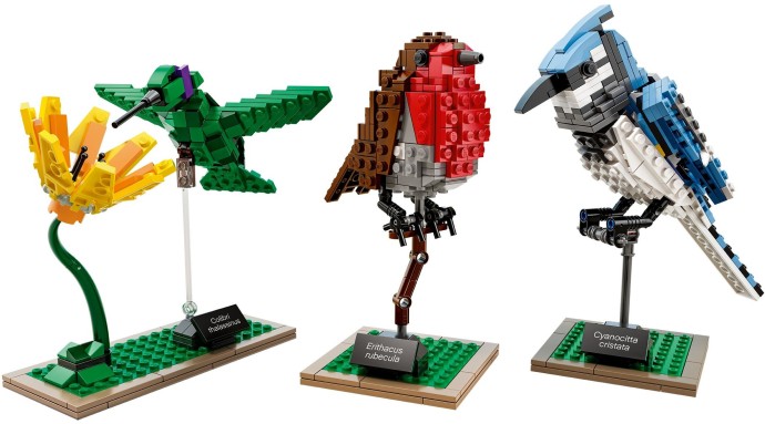 LEGO Ideas 21301 Ptáci