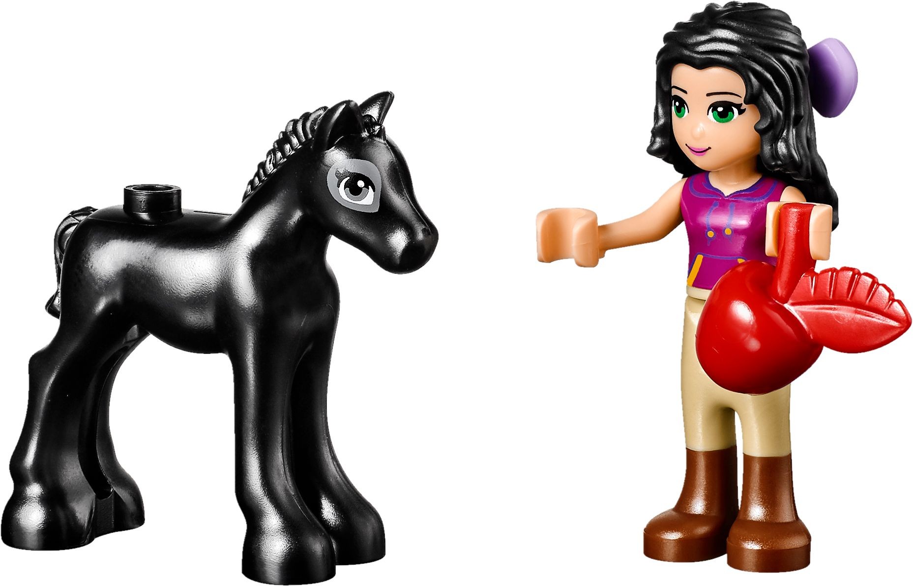 LEGO Friends 41123 Mytí hříbátka